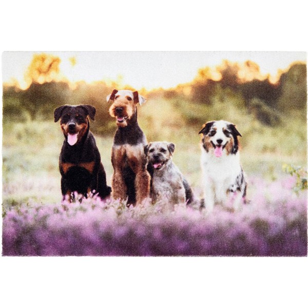 Felpudo de interior, deco print, 100% poliamida, 40 x 60 cm, diseño grupo perro